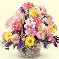 Spring basket